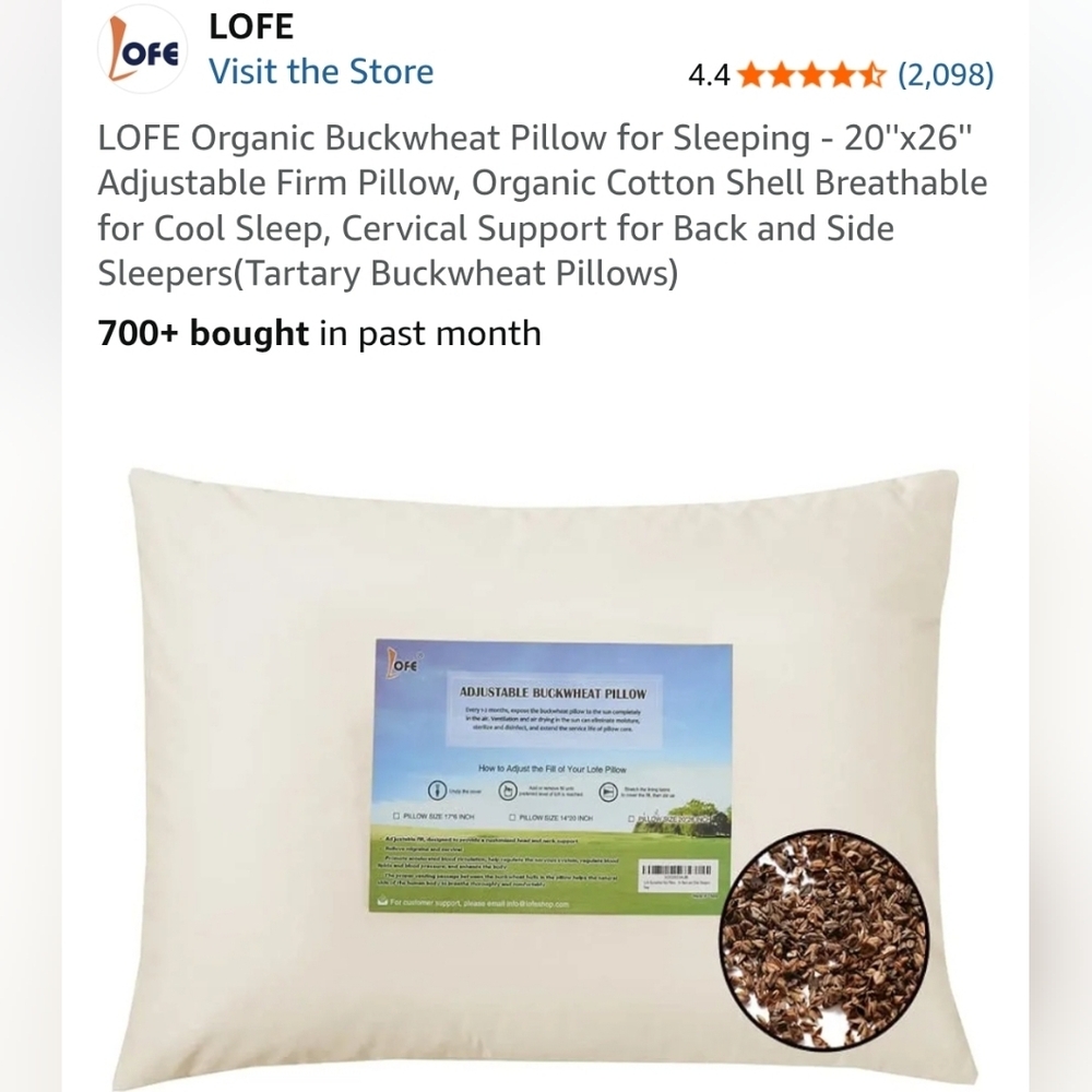 LOFE 20" x 26" Buckwheat Pillow Adjustable Filling Organic Cotton Cover